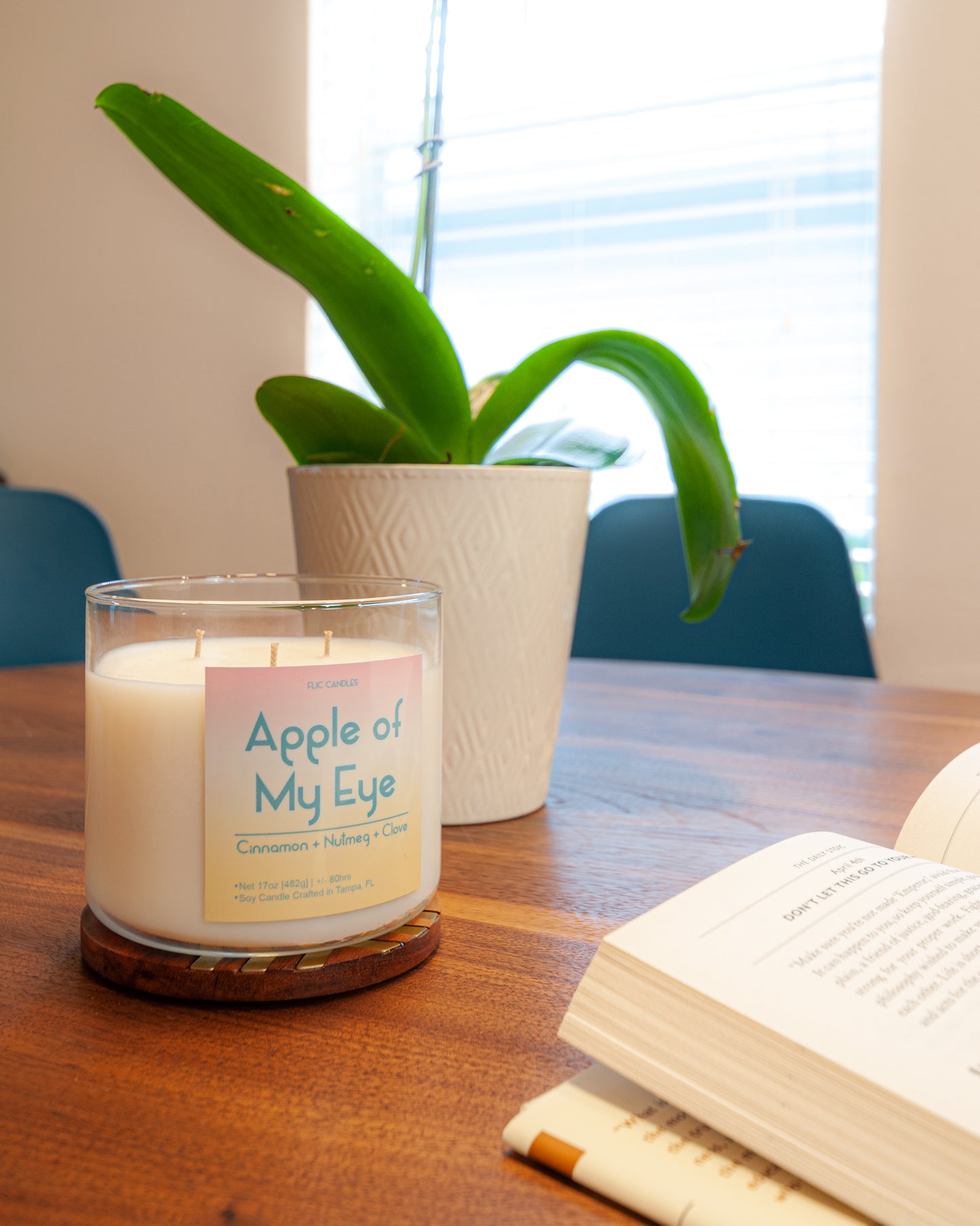 Apple Of My Eye Candle 17 OZ