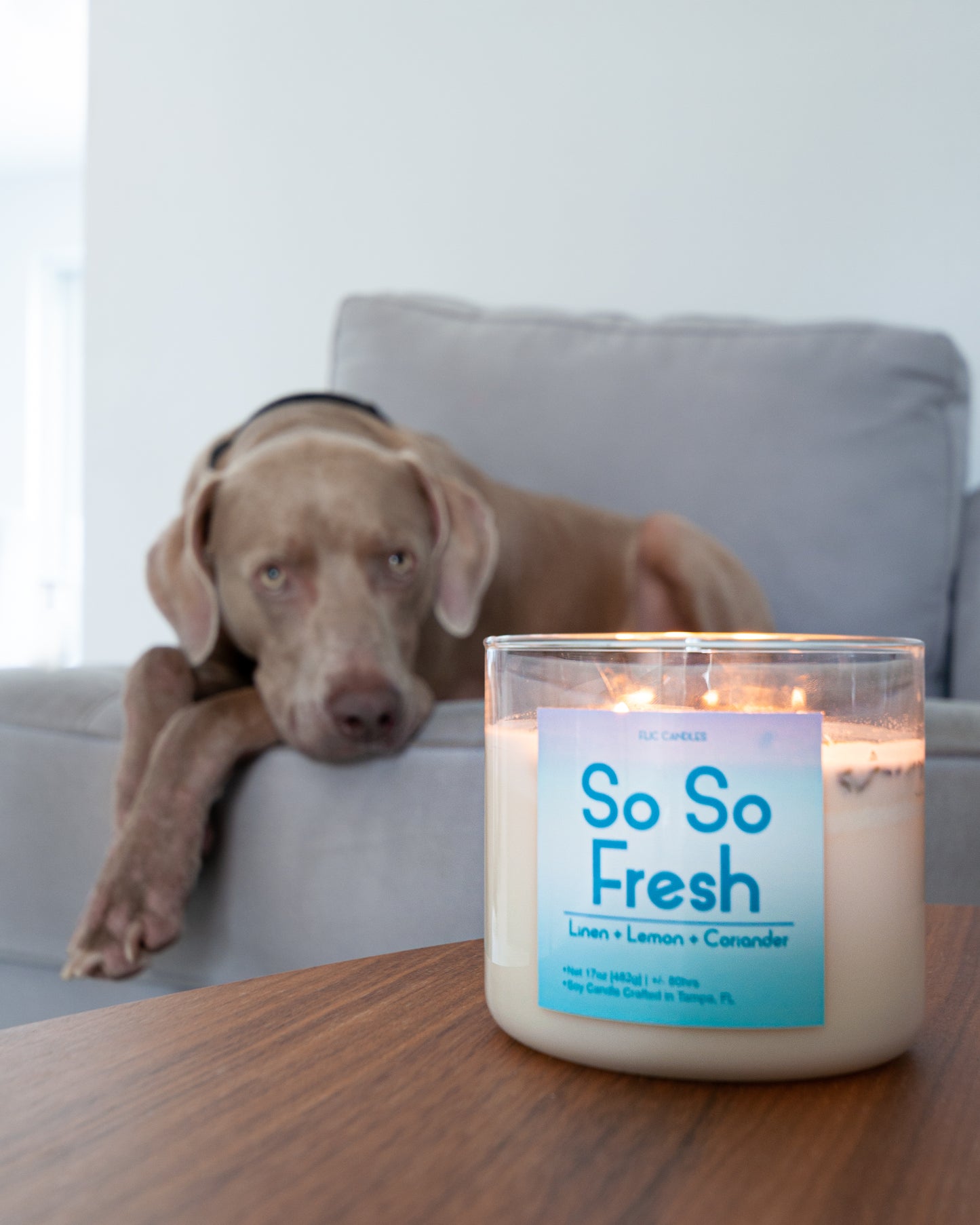 So So Fresh Candle 17 OZ