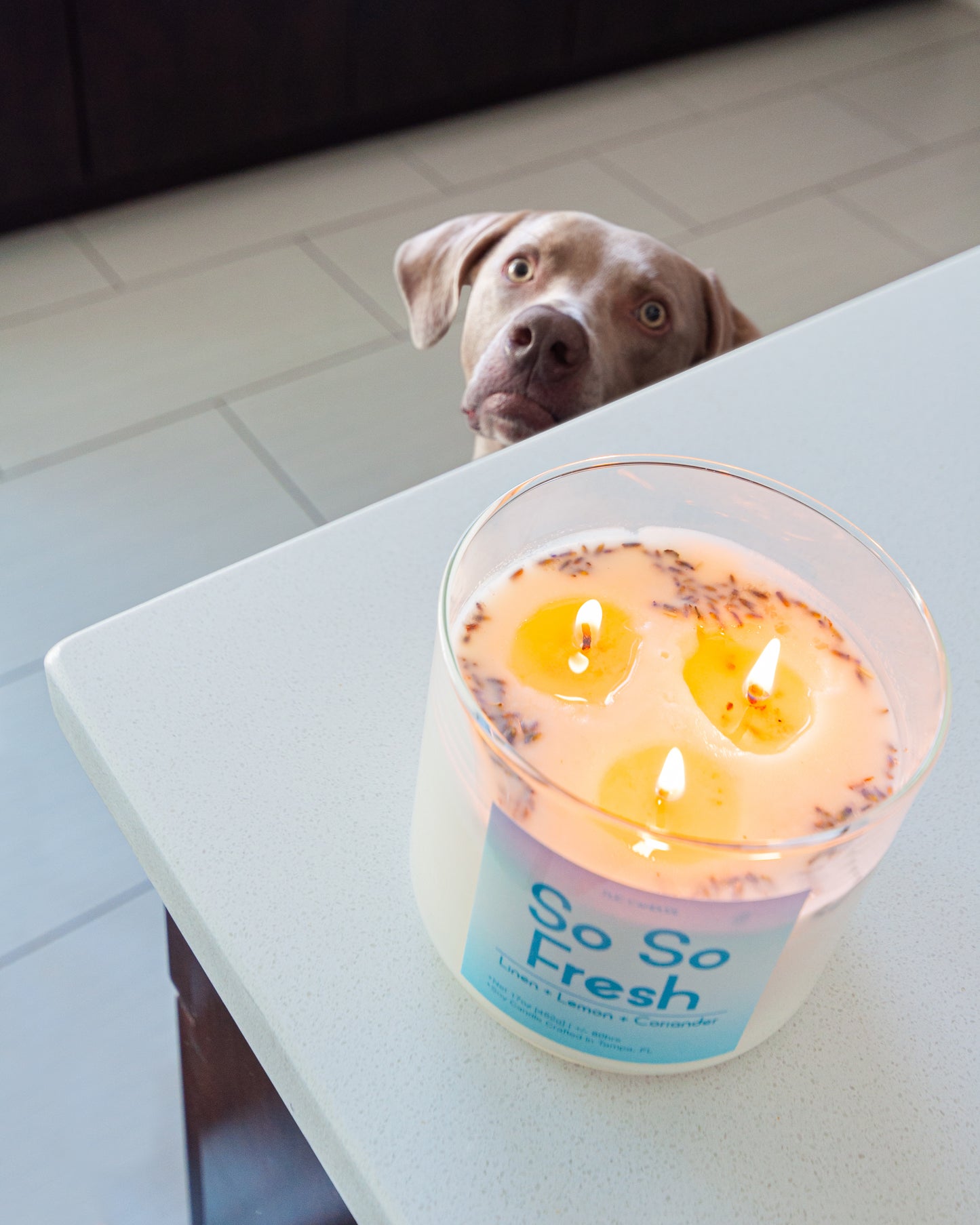 So So Fresh Candle 17 OZ